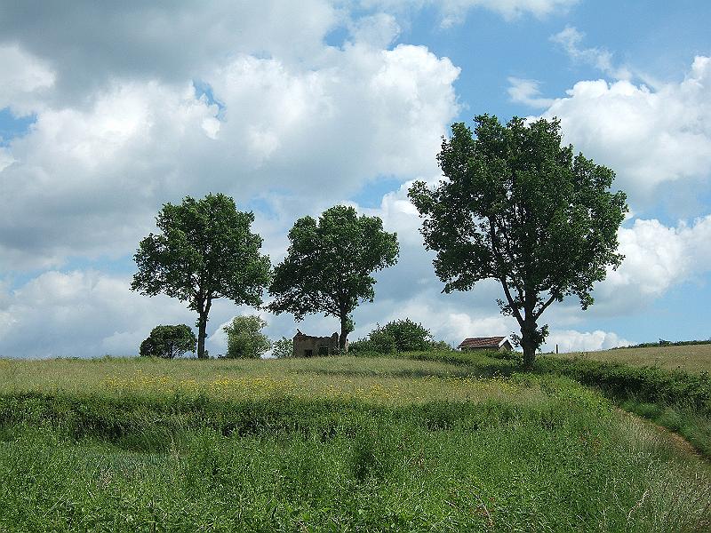2010-05- (130).JPG - Noch ein letztes Mal geht es (etwas) bergauf